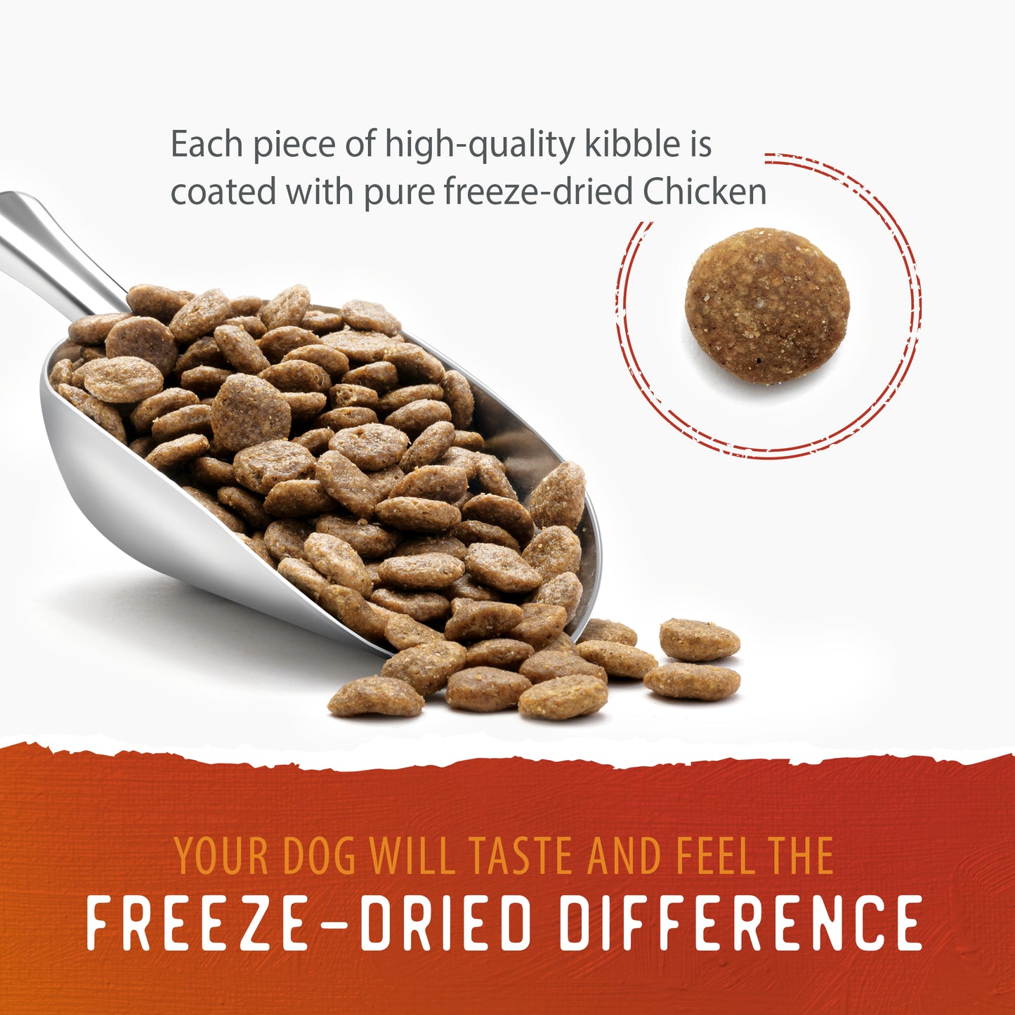 
                        
                          Freeze-Dried Coated Chicken Recipe 1.8kg
                        
                      