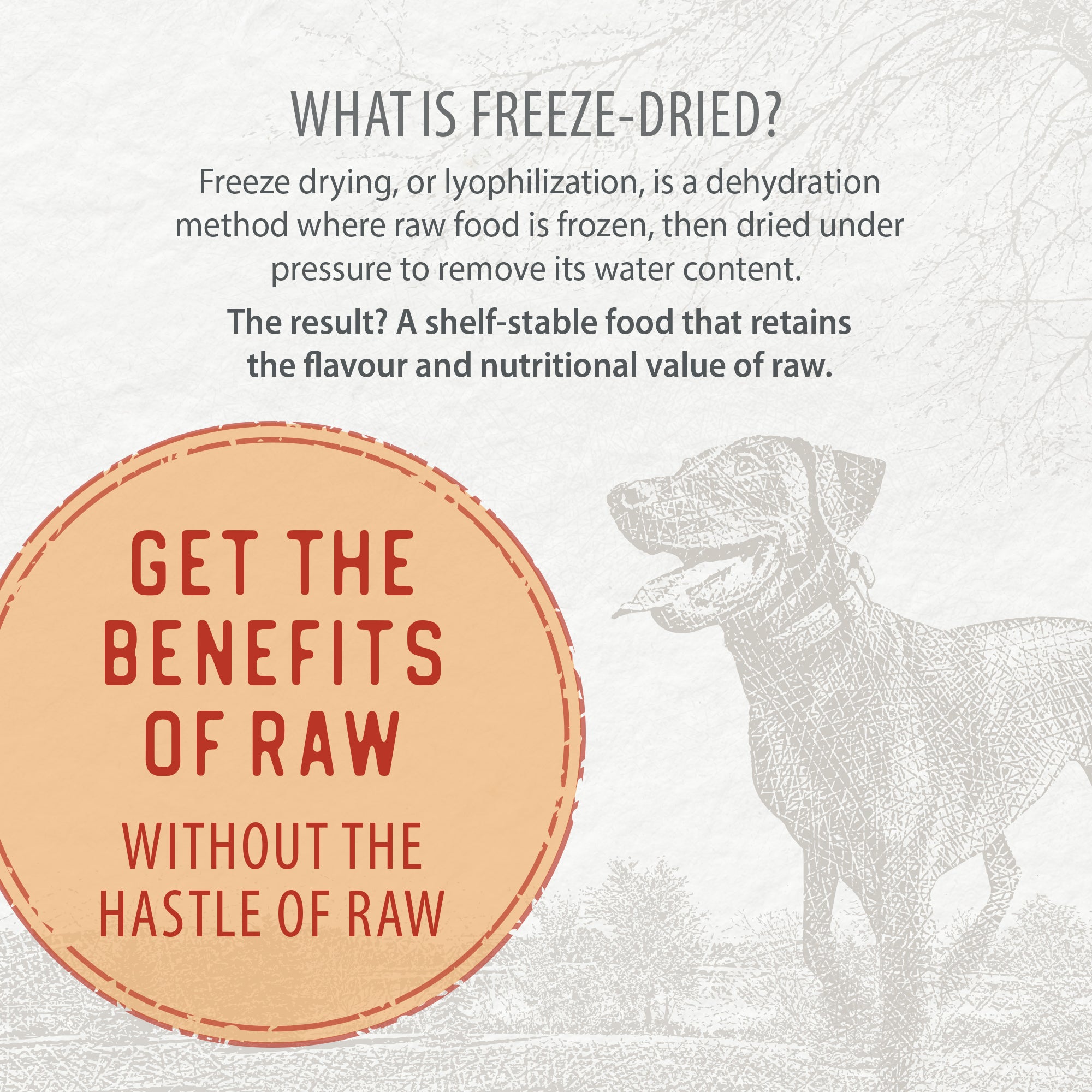 Freeze-Dried Coated Chicken Recipe 3.5kg – Caledon Farms