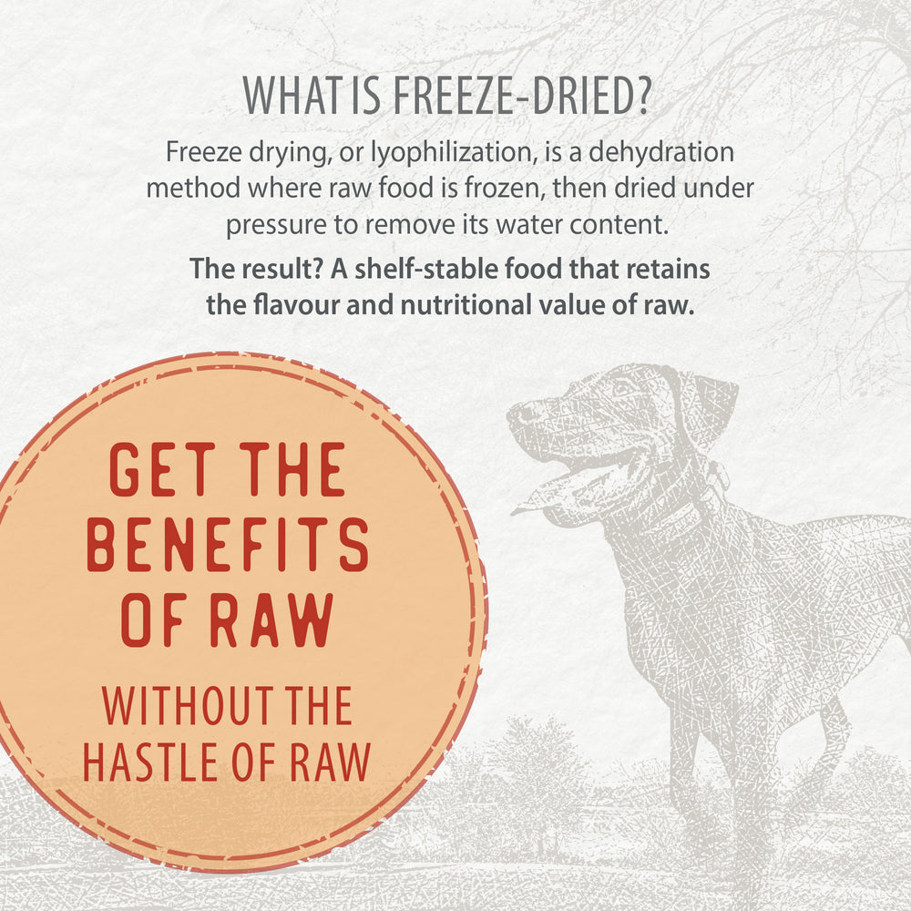 
                        
                          Freeze-Dried Coated Chicken Recipe 3.5kg
                        
                      