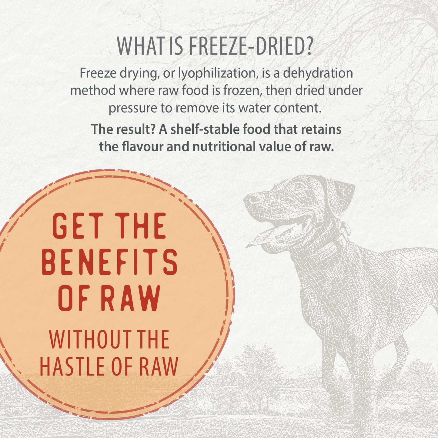 
                        
                          Freeze-Dried Coated Chicken Recipe 1.8kg
                        
                      