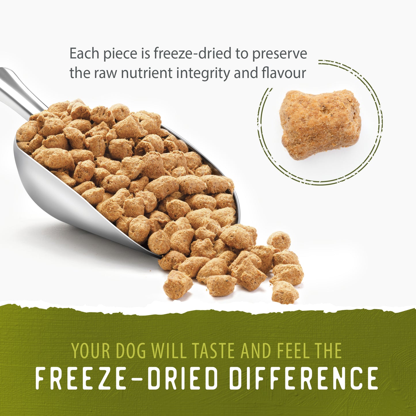 
                        
                          A metal scoop holds chunks of Caledon Farms Simply Freeze-Dried Chicken Recipe 280g dog food on a white background. Text highlights the high-protein, freeze-dried food that locks in nutrients and flavor, with a close-up of a single chunk shown.
                        
                      