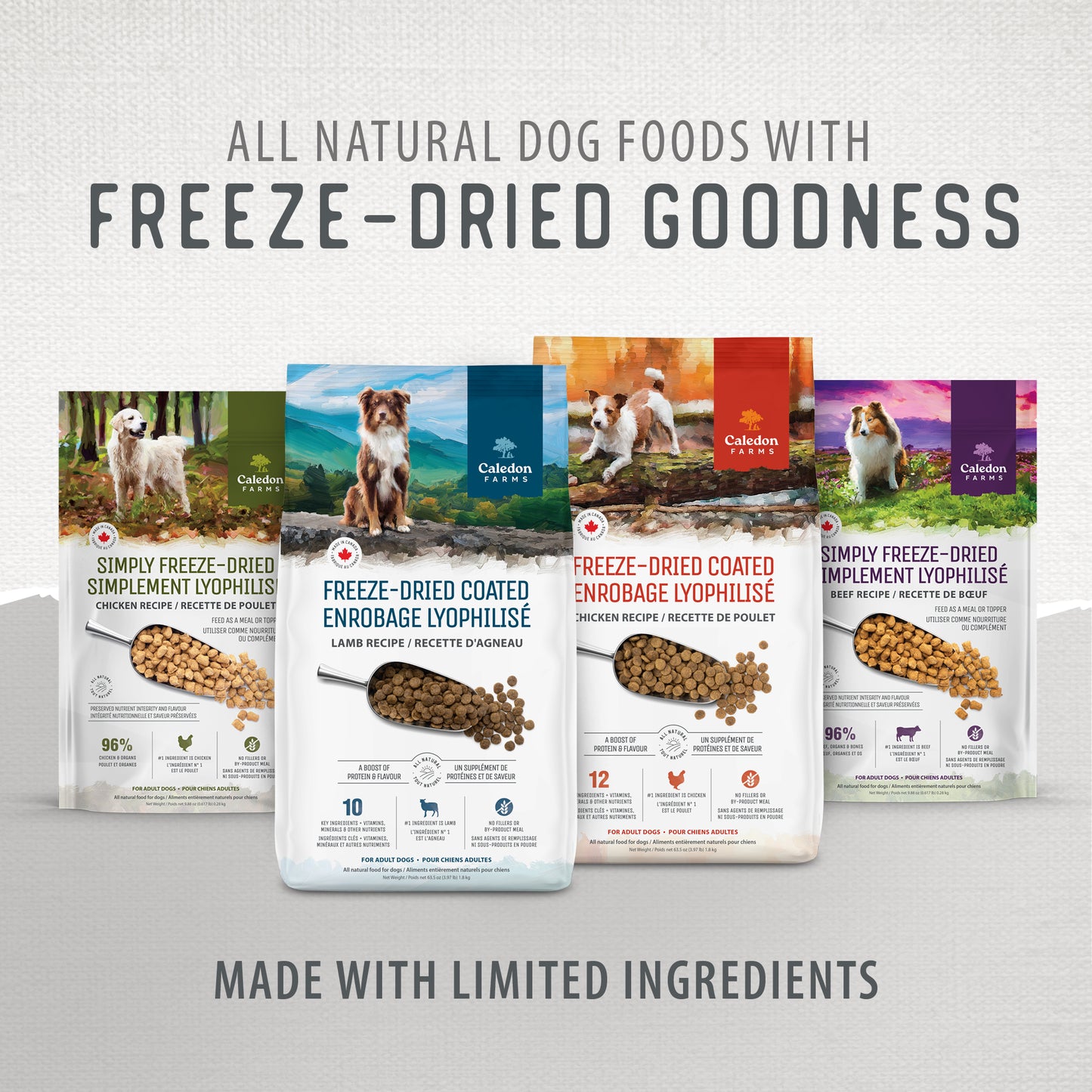 
                        
                          Five bags of Caledon Farms Simply Freeze-Dried Chicken Recipe 280g dog food are displayed side by side, with “Freeze-Dried Goodness” above and “Made with Limited Ingredients—high protein dog food your pup will love” below.
                        
                      