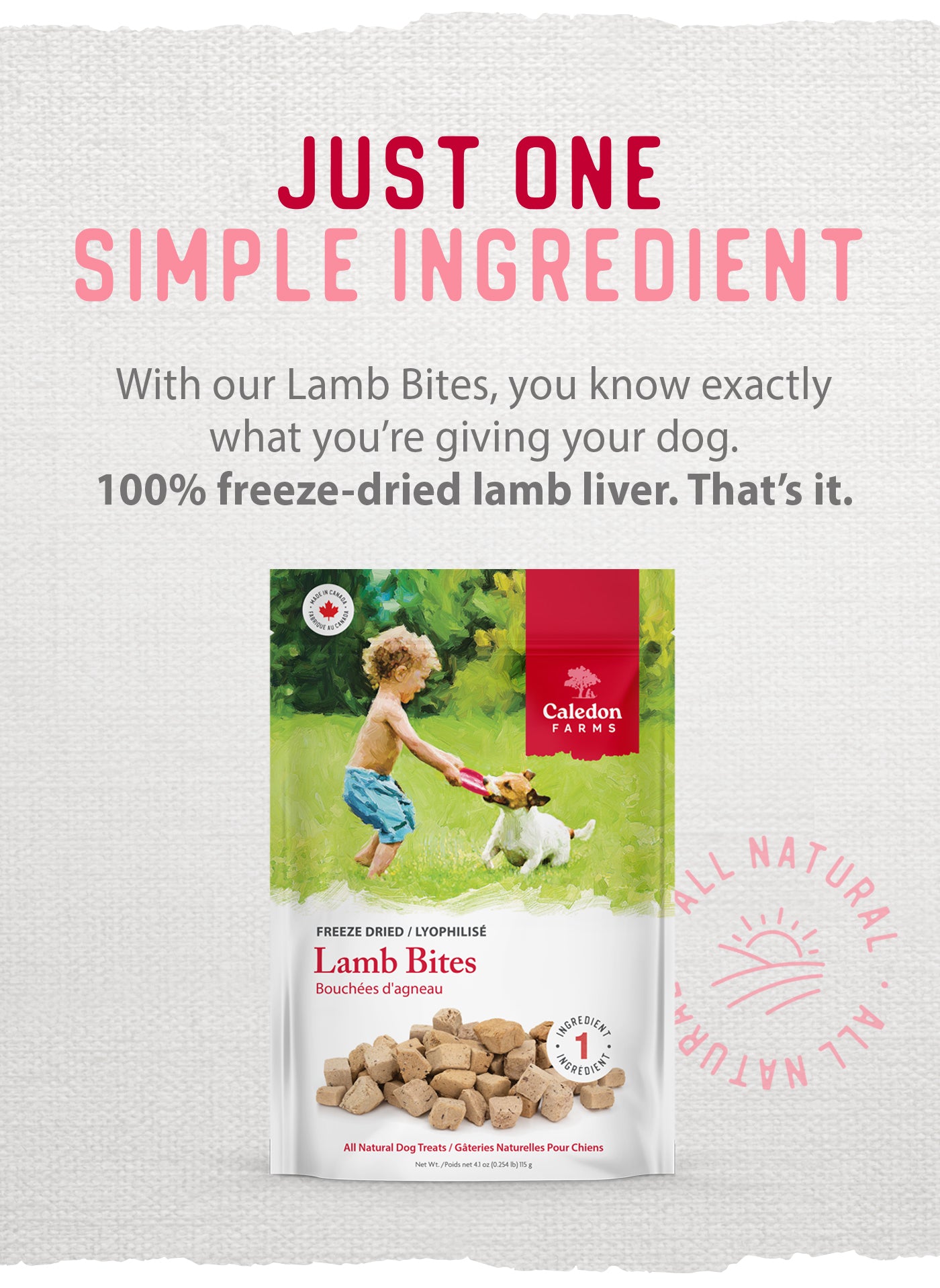 Freeze Dried Lamb Bites | Caledon Farms Dog treats