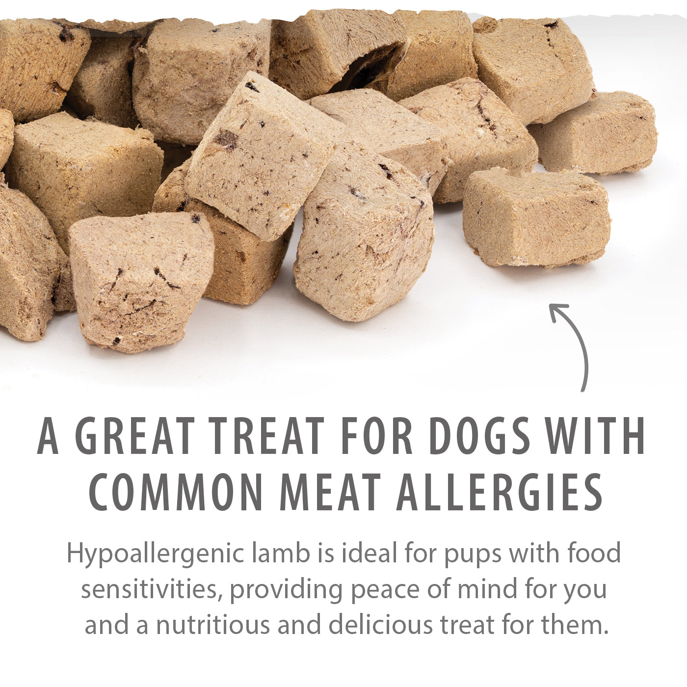 Freeze Dried Lamb Bites | Caledon Farms Dog treats