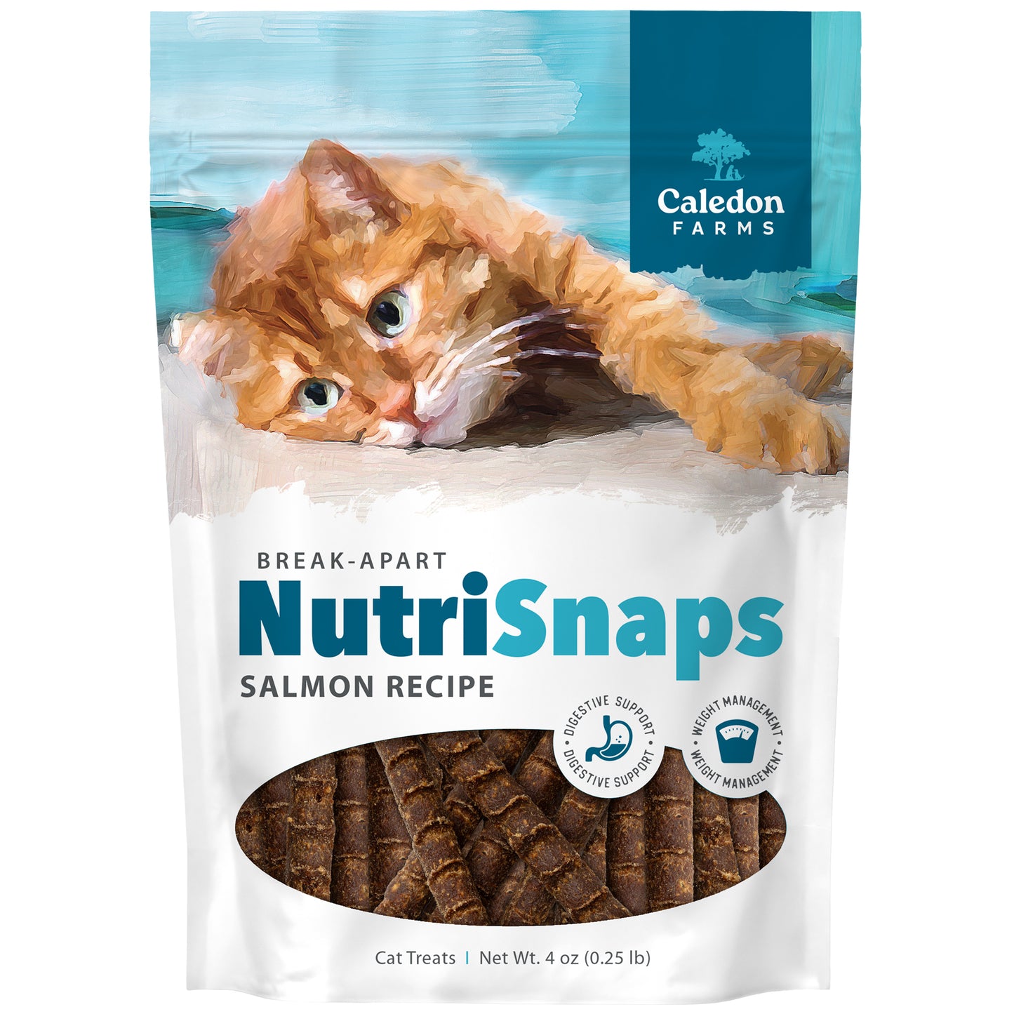 A 113g bag of Caledon Farms NutriSnaps Salmon Recipe cat treats features an illustrated orange cat on the packaging and a clear window displaying the salmon treats inside.