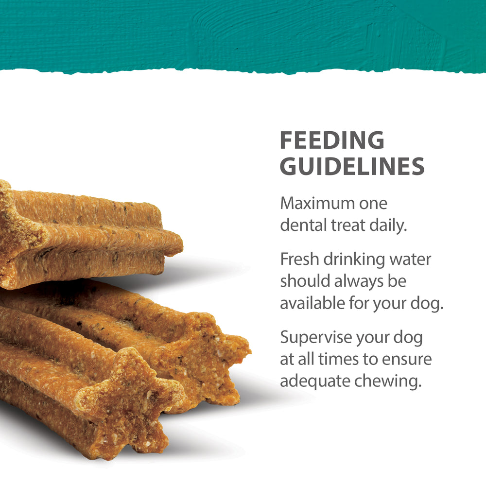 
                        
                          Plaque Busters Bacon Dental Sticks 198g
                        
                      