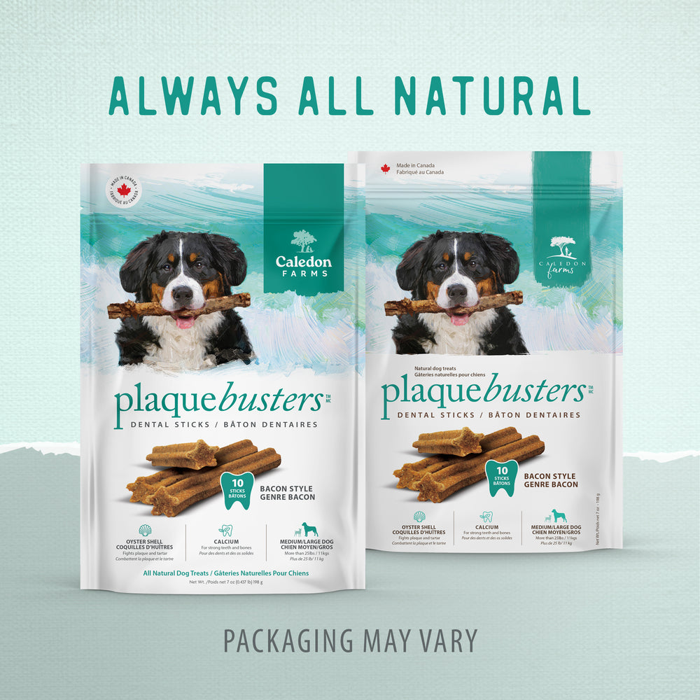 
                        
                          Plaque Busters Bacon Dental Sticks 198g
                        
                      