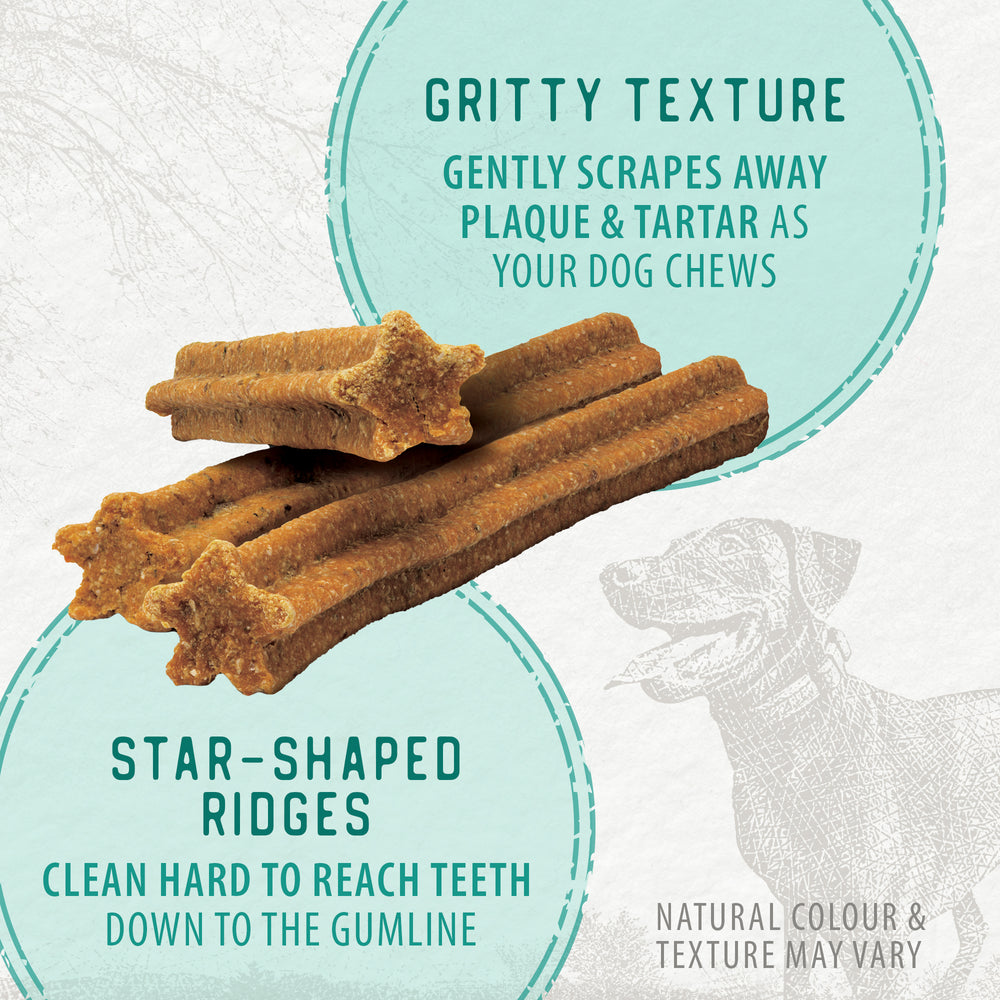 
                        
                          Plaque Busters Bacon Dental Sticks 198g
                        
                      