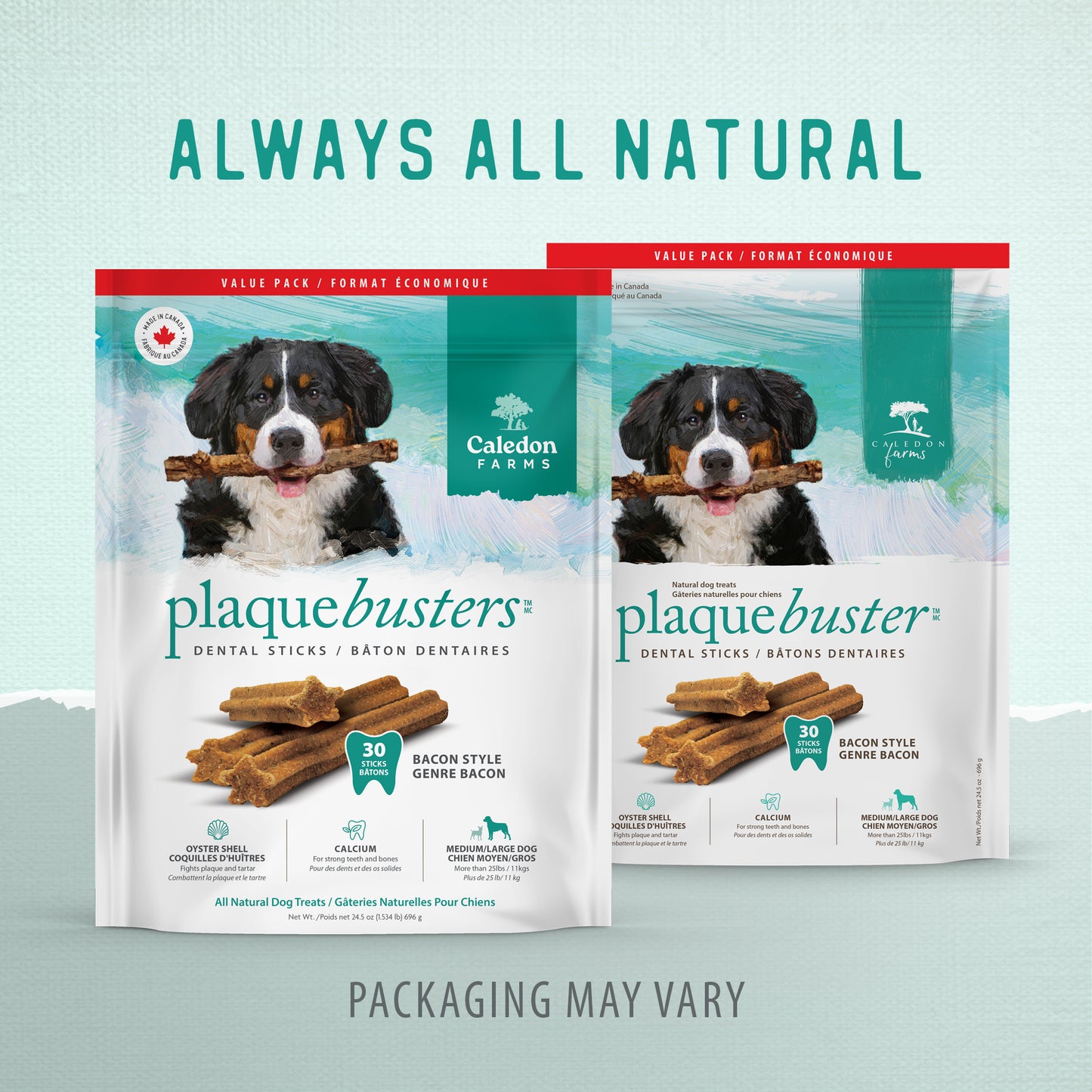 
                        
                          Plaque Busters Bacon Dental Sticks Value Pack 696g
                        
                      