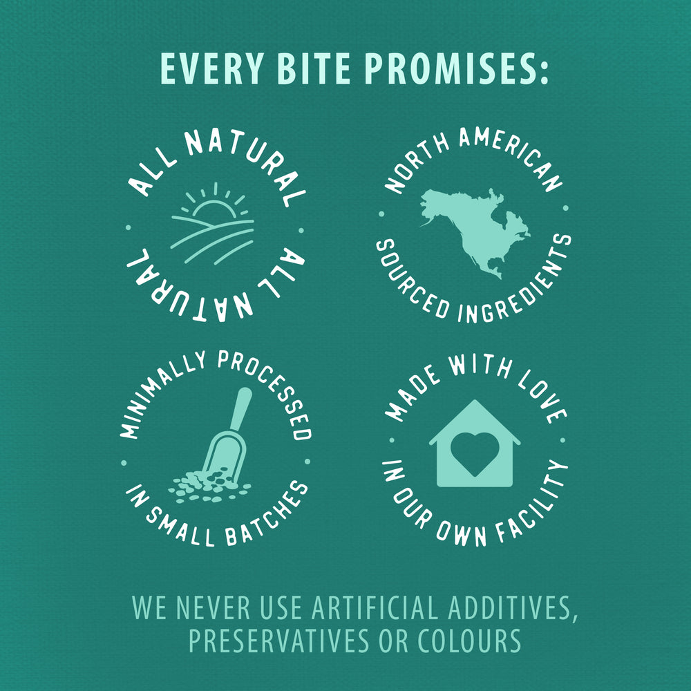 
                        
                          Plaque Busters Bacon Dental Sticks 198g
                        
                      