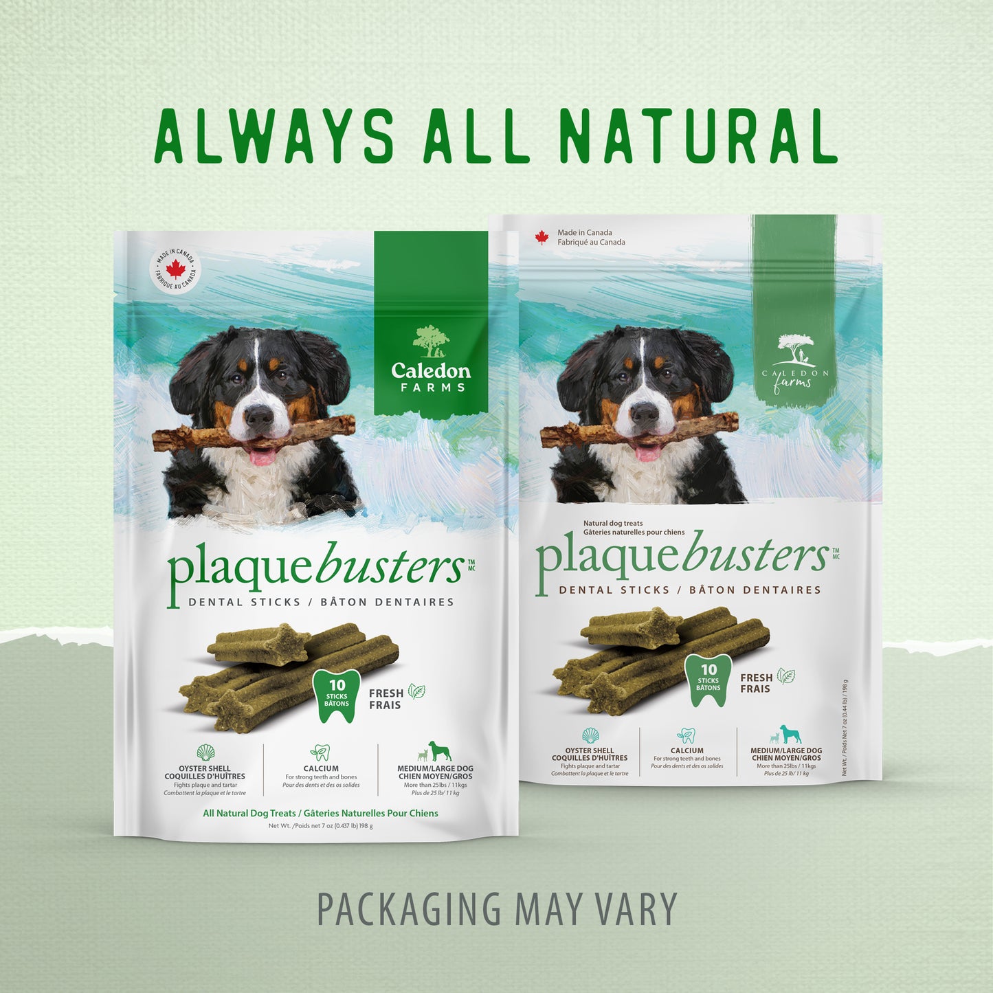 
                        
                          Plaque Busters Fresh Dental Sticks Value Pack 696g
                        
                      