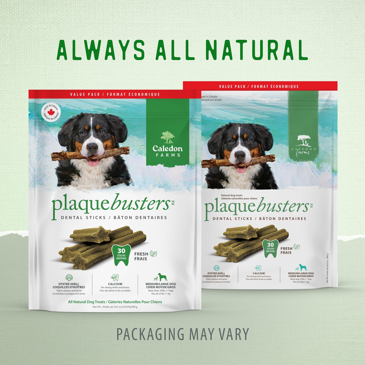 
                        
                          Plaque Busters Fresh Dental Sticks Value Pack 696g
                        
                      