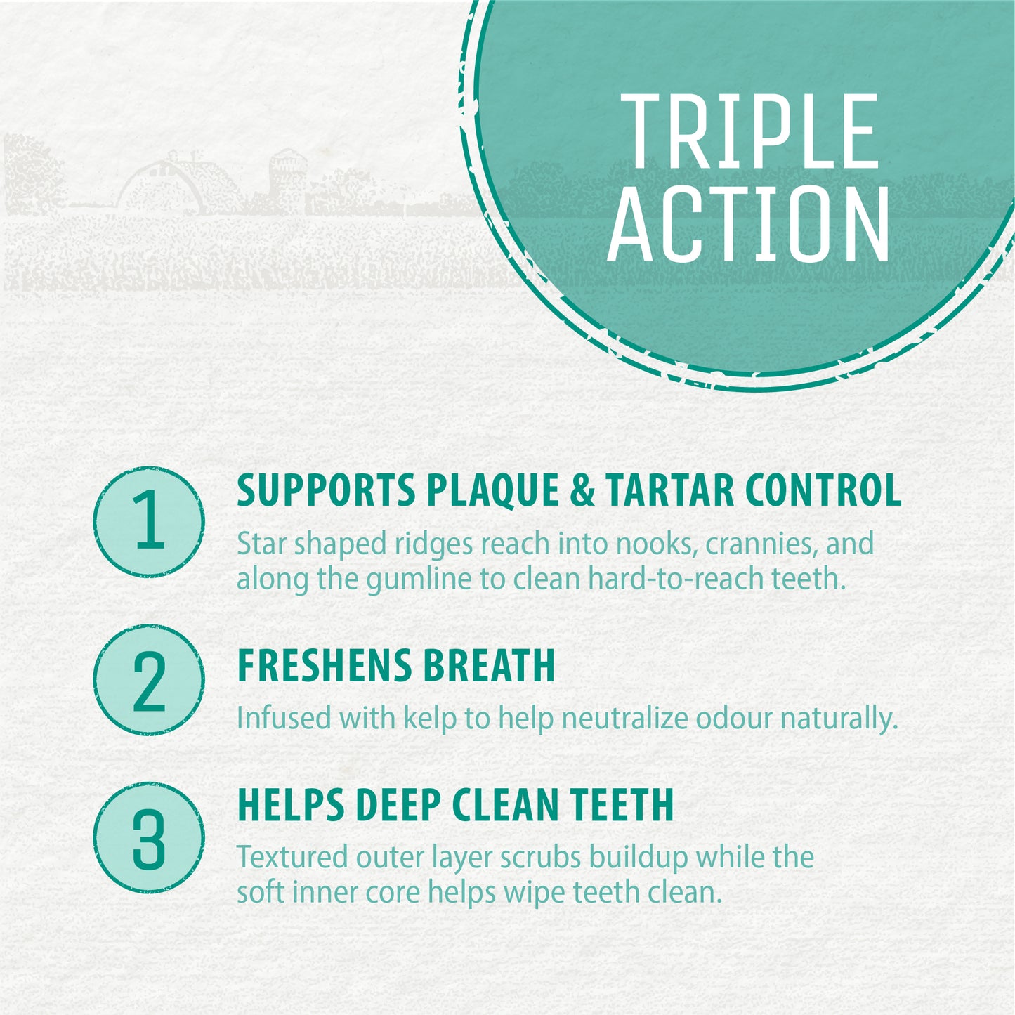 
                        
                          Plaque Busters Dental Sticks Triple Action Chicken and Bacon Flavour 232g
                        
                      