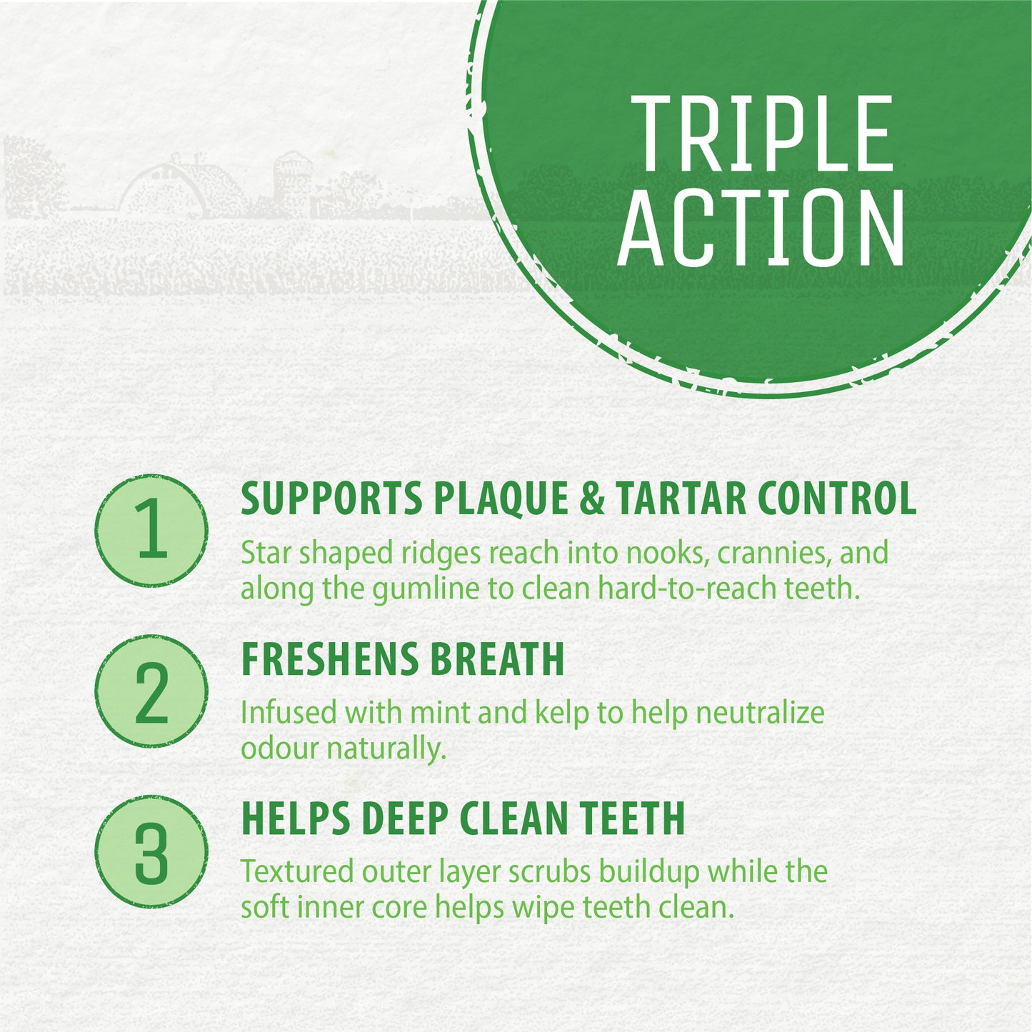 
                        
                          An infographic titled "Triple Action" highlights three benefits of Caledon Farms Plaque Busters Dental Sticks Triple Action Natural Mint Flavour 234g: controls plaque and tartar, freshens breath, and helps deep clean teeth, each with a brief description below.
                        
                      