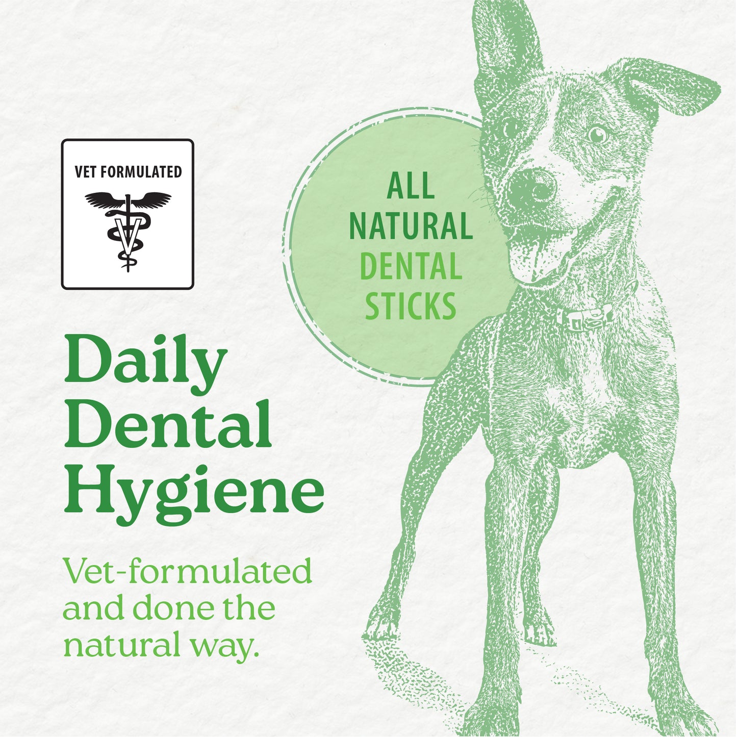 
                        
                          A promotional graphic features a happy dog with text: Daily Dental Hygiene, Vet-formulated and natural, Caledon Farms Plaque Busters Dental Sticks Triple Action Natural Mint Flavour 234g for plaque and tartar control, plus a Vet Formulated emblem with caduceus symbol.
                        
                      