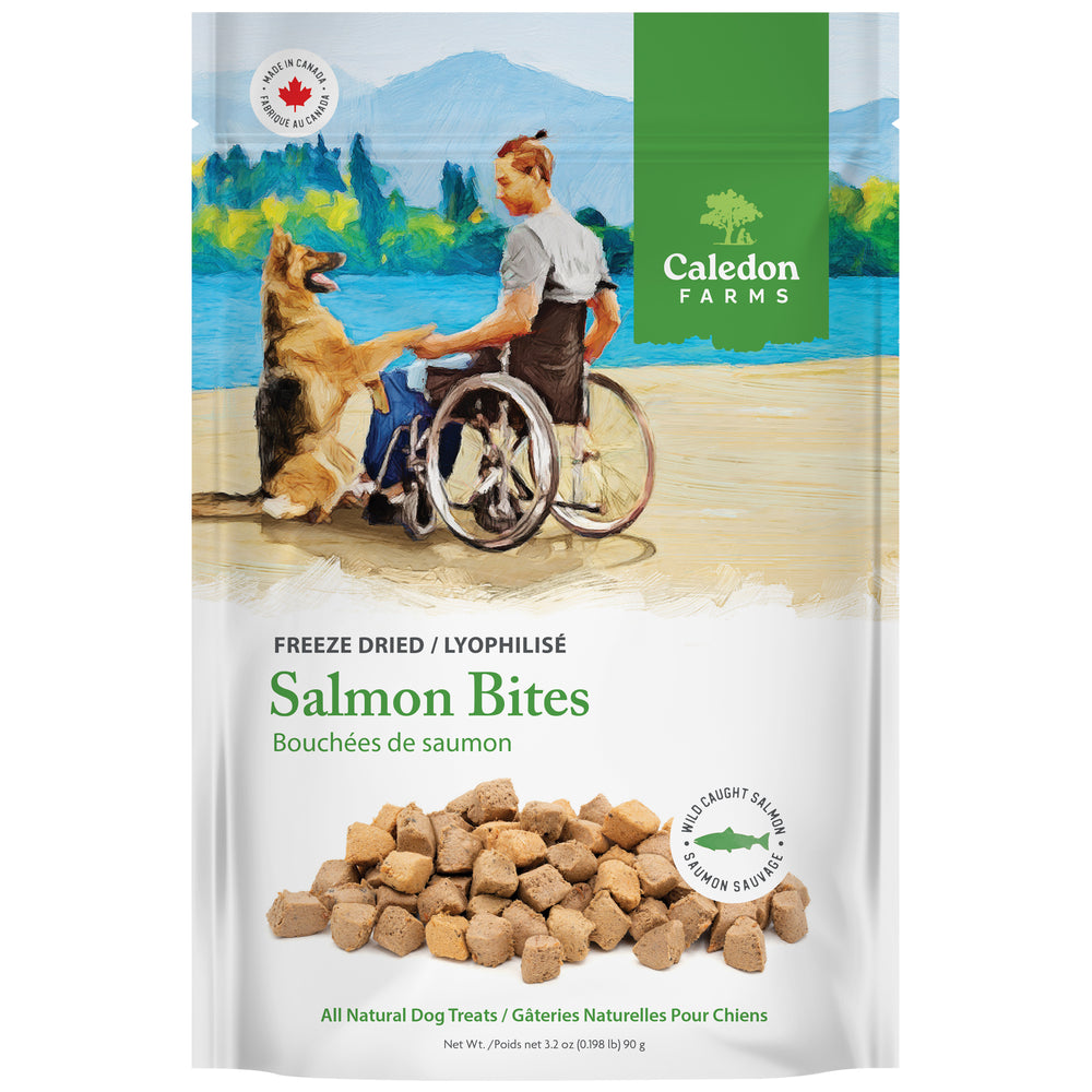 Freeze Dried Salmon Bites 90g