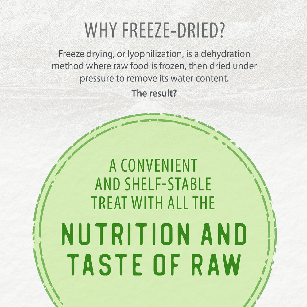 
                        
                          Freeze Dried Salmon Bites 90g
                        
                      