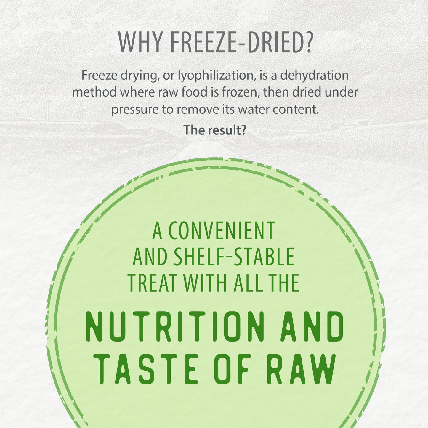 
                        
                          Freeze Dried Salmon Bites 90g
                        
                      