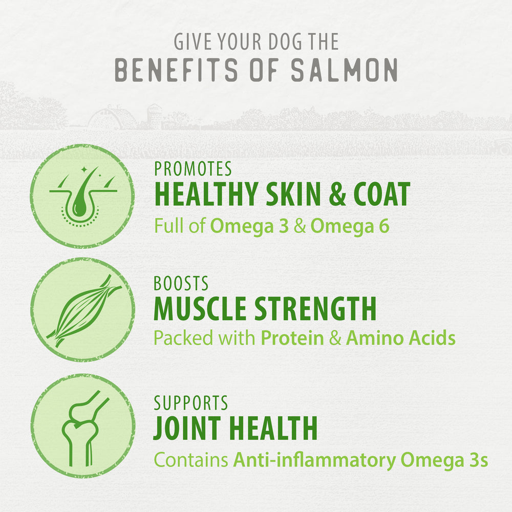 
                        
                          Freeze Dried Salmon Bites 90g
                        
                      