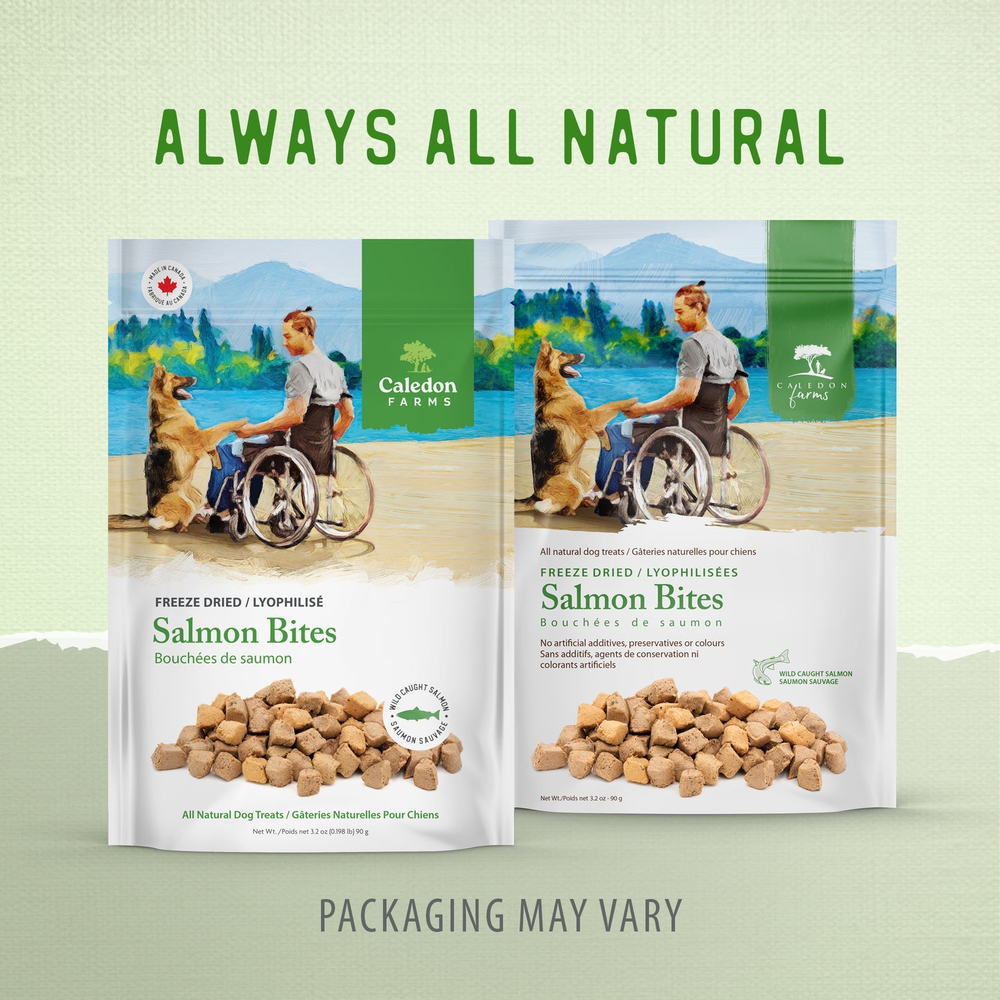 
                        
                          Freeze Dried Salmon Bites 90g
                        
                      