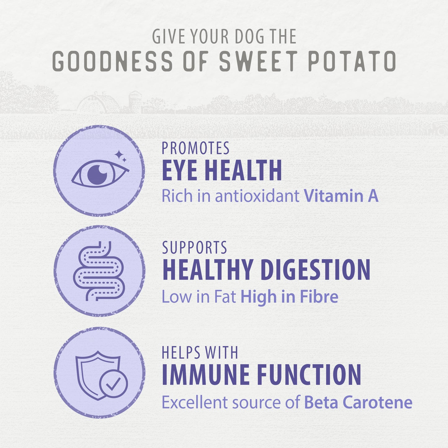 
                        
                          Infographic for Caledon Farms Canada Super Value Pack Sweet Potato Chews 1140g: a natural dog treat rich in Vitamin A and beta carotene for eye health and immunity, low in fat, high in fiber for digestion; features related icons.
                        
                      