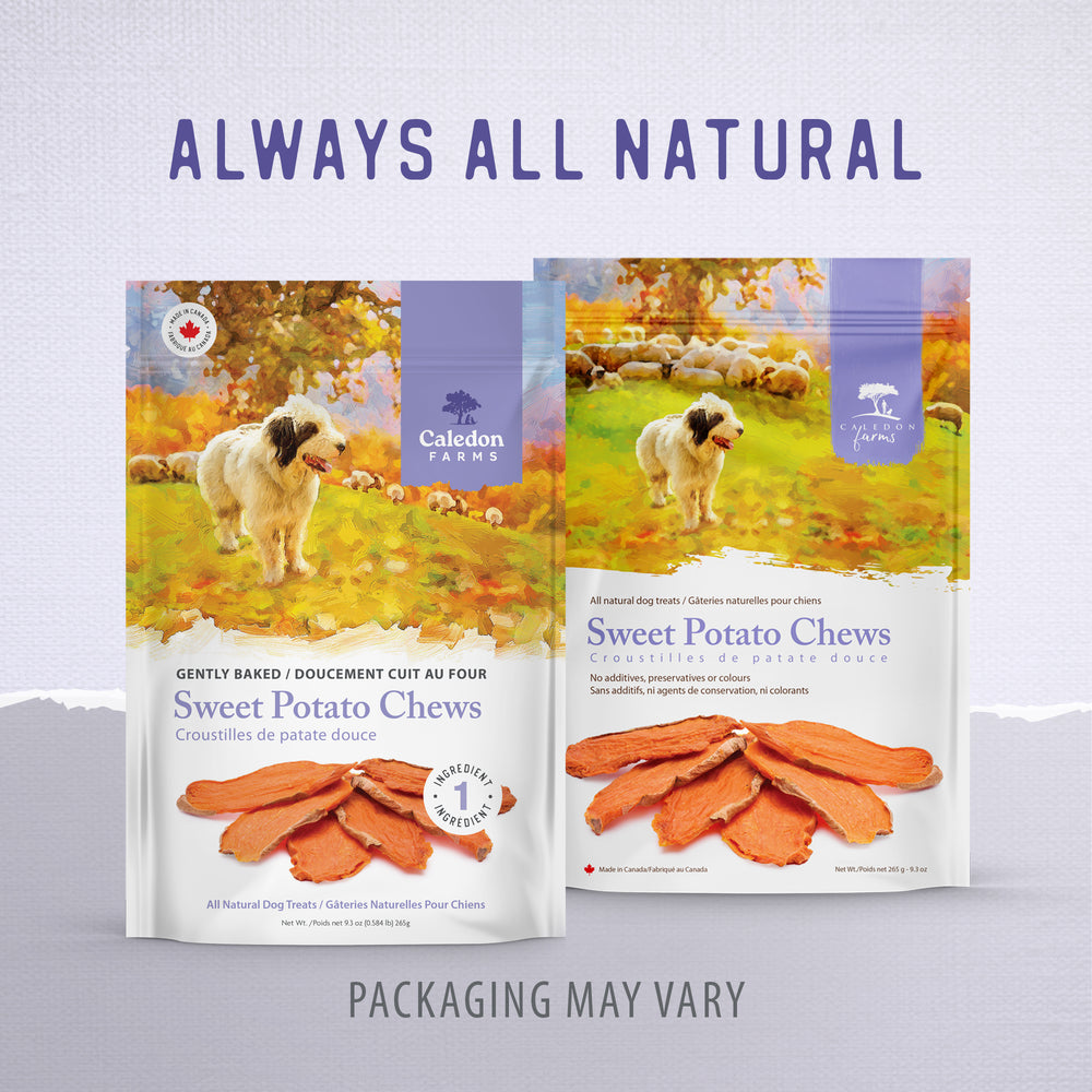 
                        
                          Sweet Potato Chews 265g
                        
                      