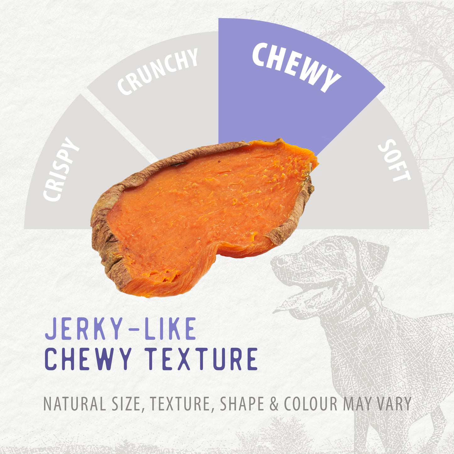
                        
                          A slice of Caledon Farms Canada Super Value Pack Sweet Potato Chews 1140g is on a texture scale chart, showing chewy between crispy, crunchy, and soft. Text: Jerky-like chewy texture. Natural Dog Chews—size, shape & colour may vary. Dog in background.
                        
                      