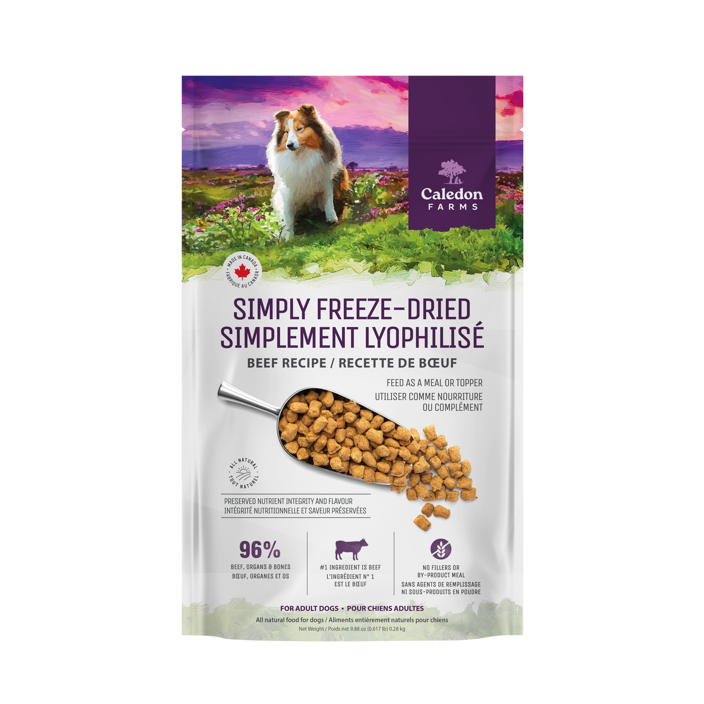 A 280g Caledon Farms Simply Freeze-Dried Beef Recipe bag displays a Collie by a field, beef cubes, and English and French details on a white and colorful background.