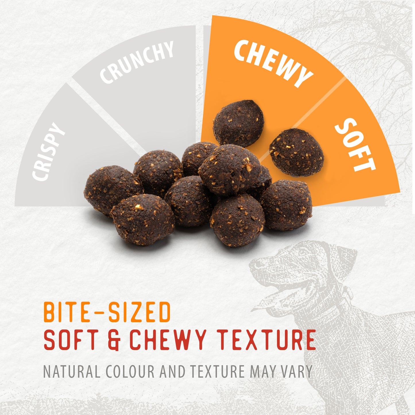 
                        
                          Baked Bites Pumpkin — Texture
                        
                      