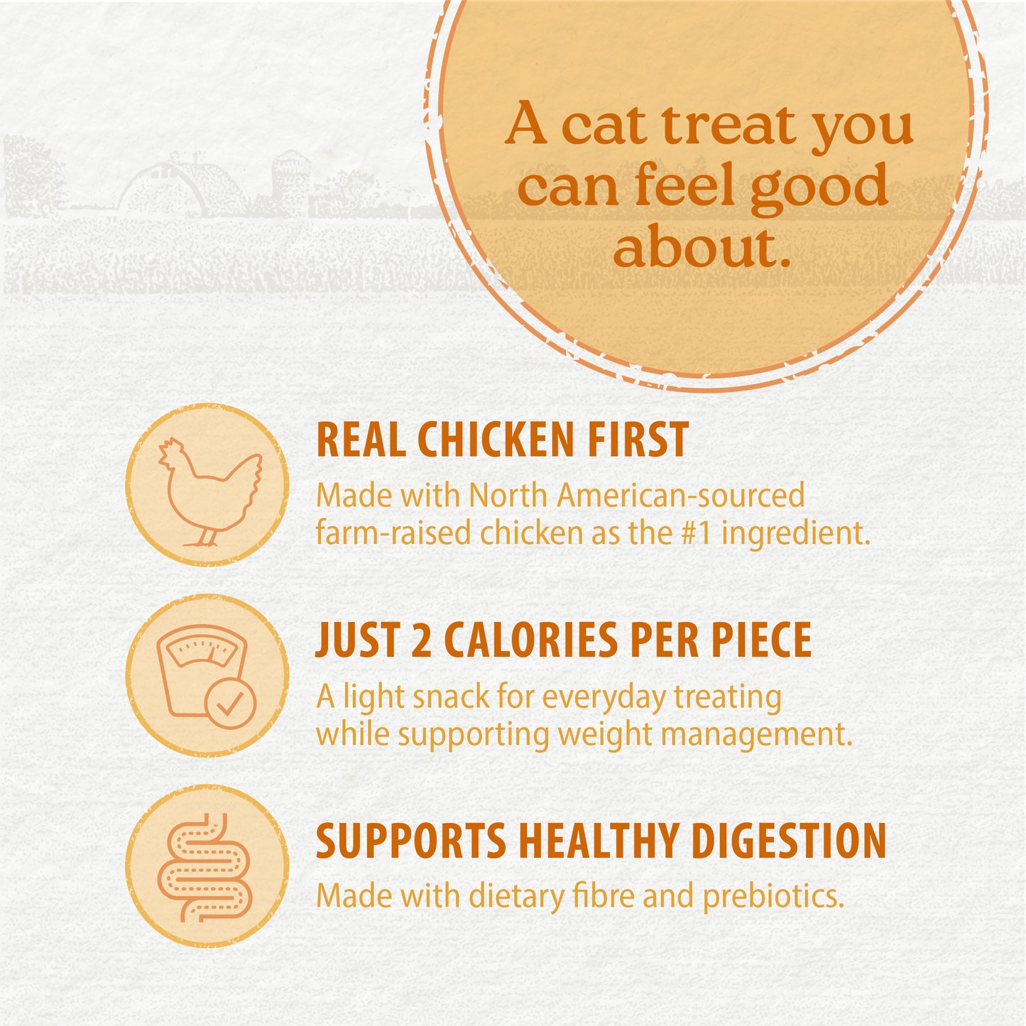 
                        
                          NutriSnaps Chicken Recipe — Key Benefits
                        
                      