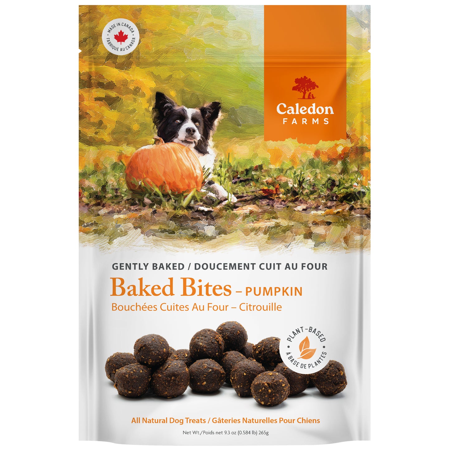 Baked Bites Pumpkin — Package Front