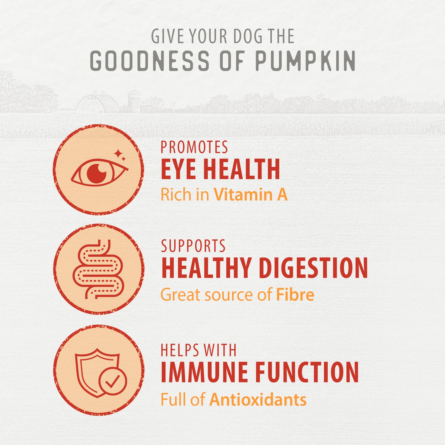 
                        
                          Baked Bites Pumpkin — Key Benefits
                        
                      