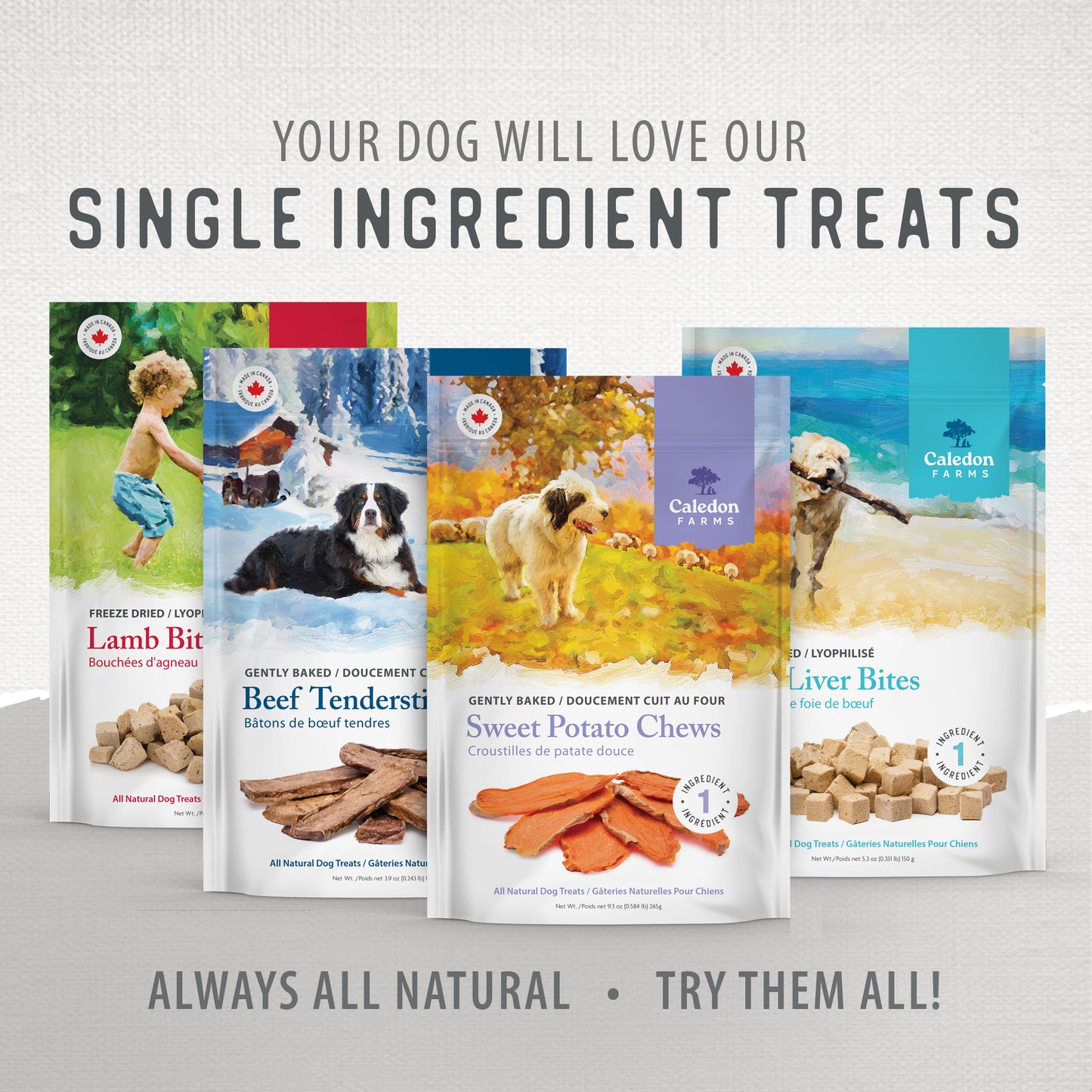 
                        
                          Beef Tendersticks — Product Portfolio
                        
                      
