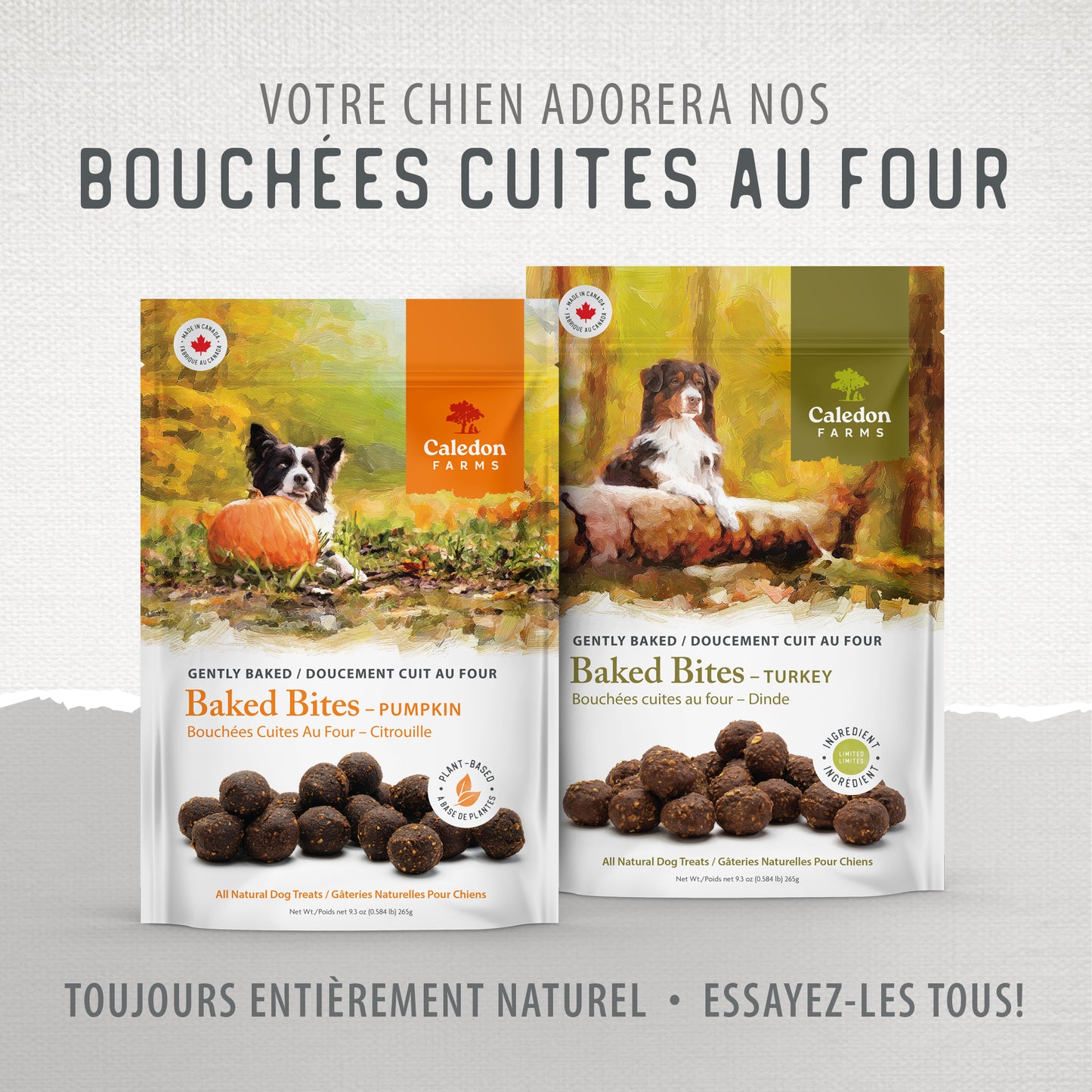 
                        
                          Baked Bites Turkey — Product Portfolio
                        
                      