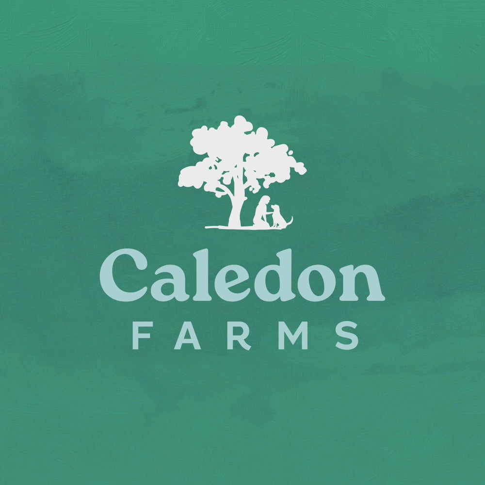 
                        
                          Load and play video in Gallery viewer, Plaque Busters Bacon Dental Sticks 198g
                        
                      