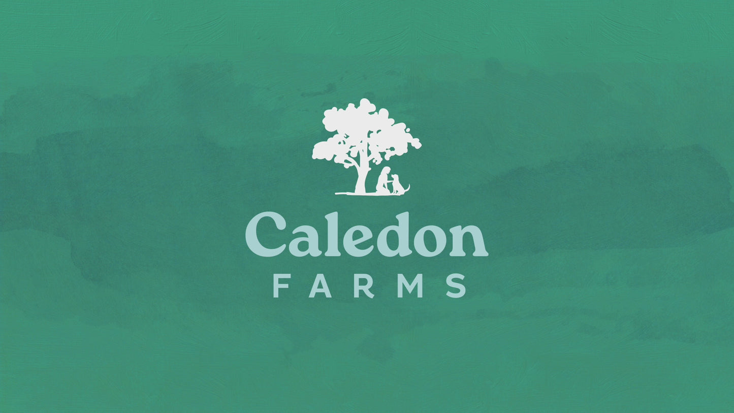 
                        
                          Load and play video in Gallery viewer, Plaque Busters Bacon Dental Sticks 198g
                        
                      