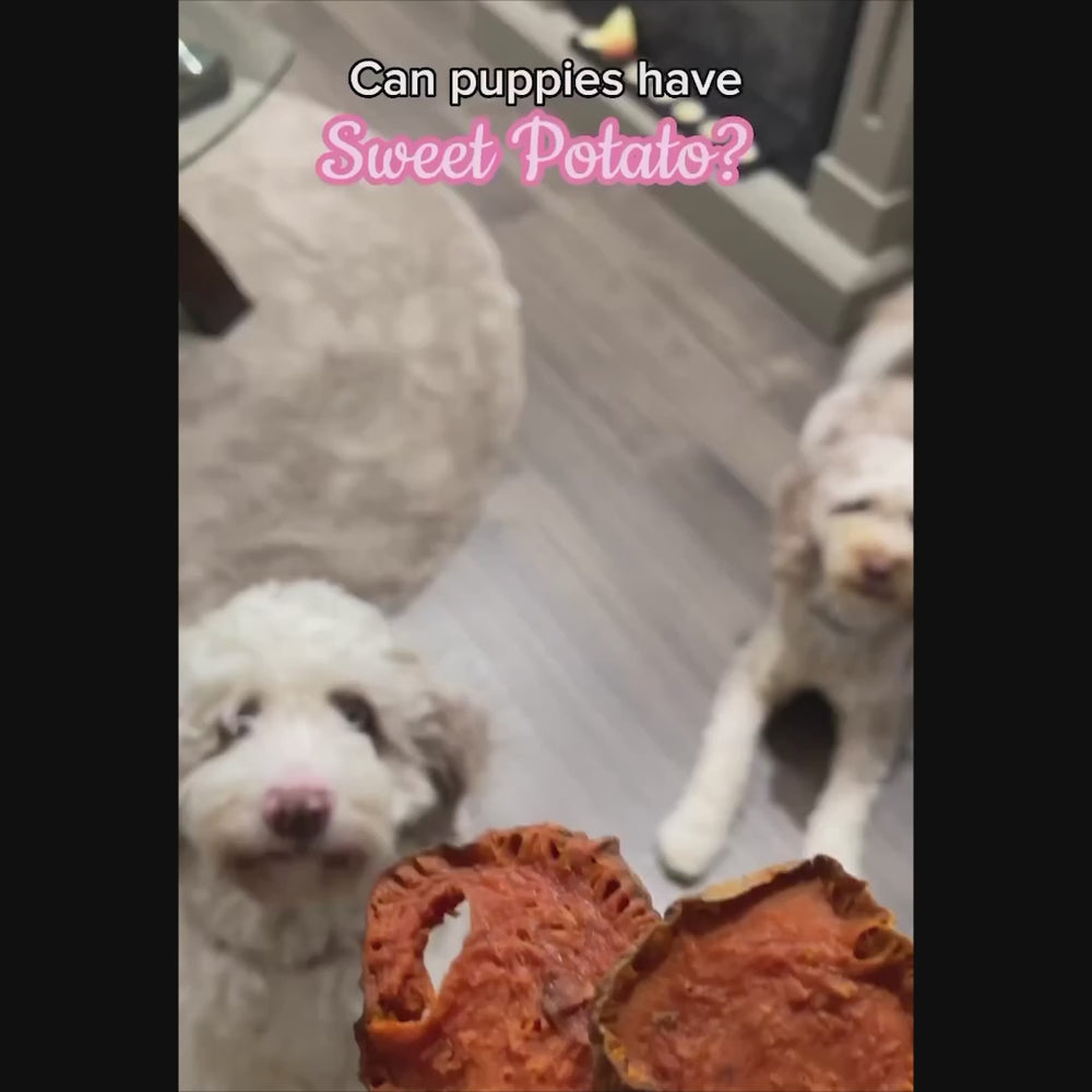 
                        
                          Load and play video in Gallery viewer, Sweet Potato Chews 265g
                        
                      