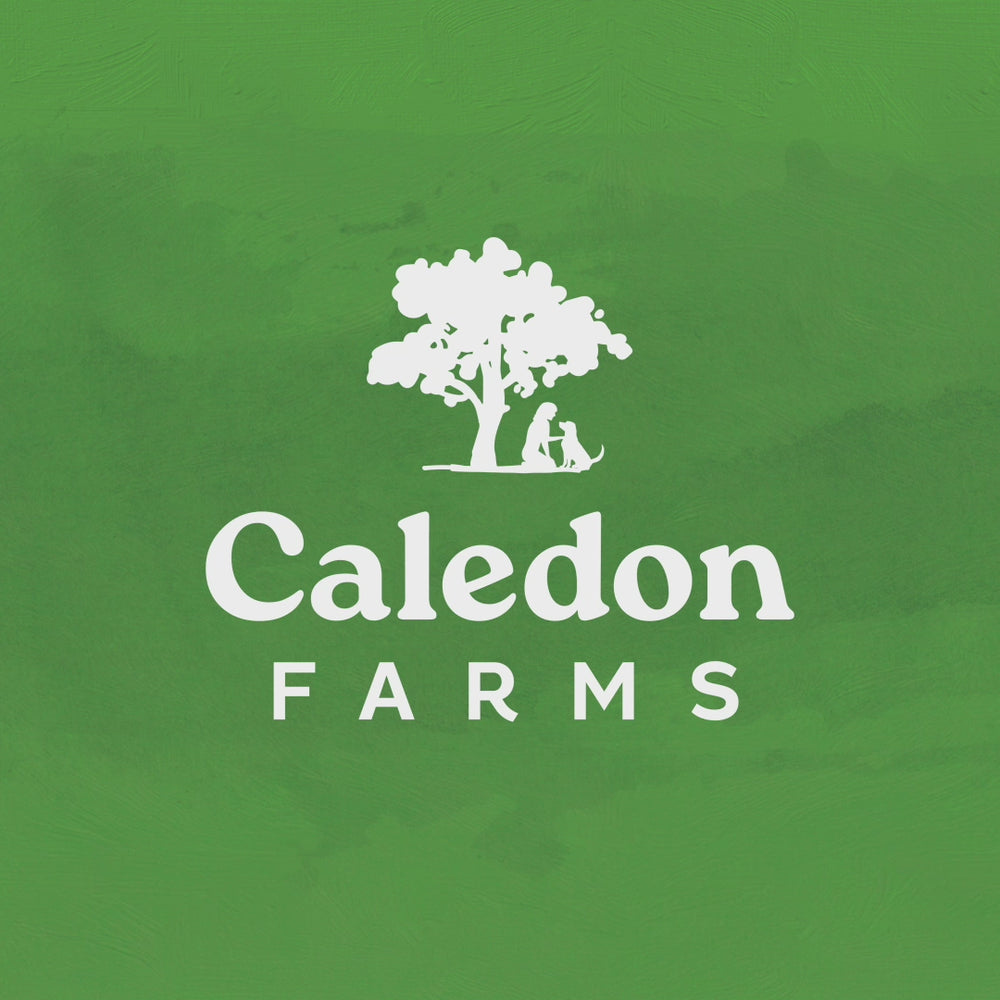 
                        
                          Load and play video in Gallery viewer, Chewy Lamb Sticks 200g
                        
                      