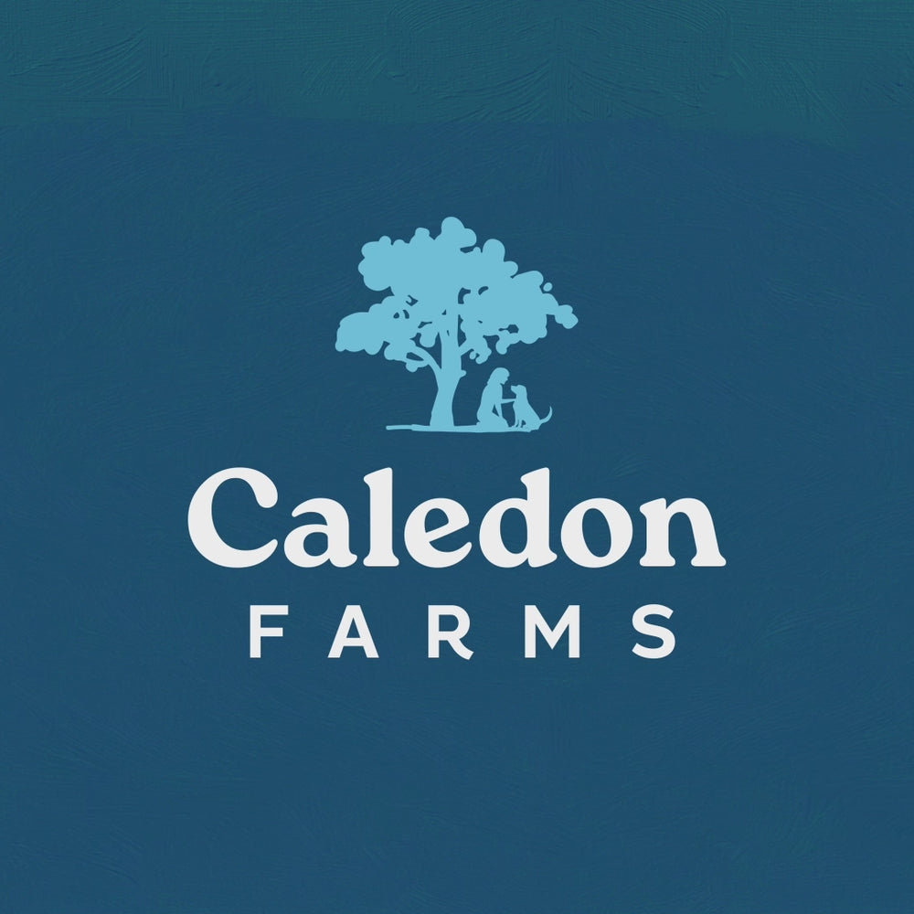 
                        
                          Load and play video in Gallery viewer, Freeze Dried Salmon Bites 90g
                        
                      