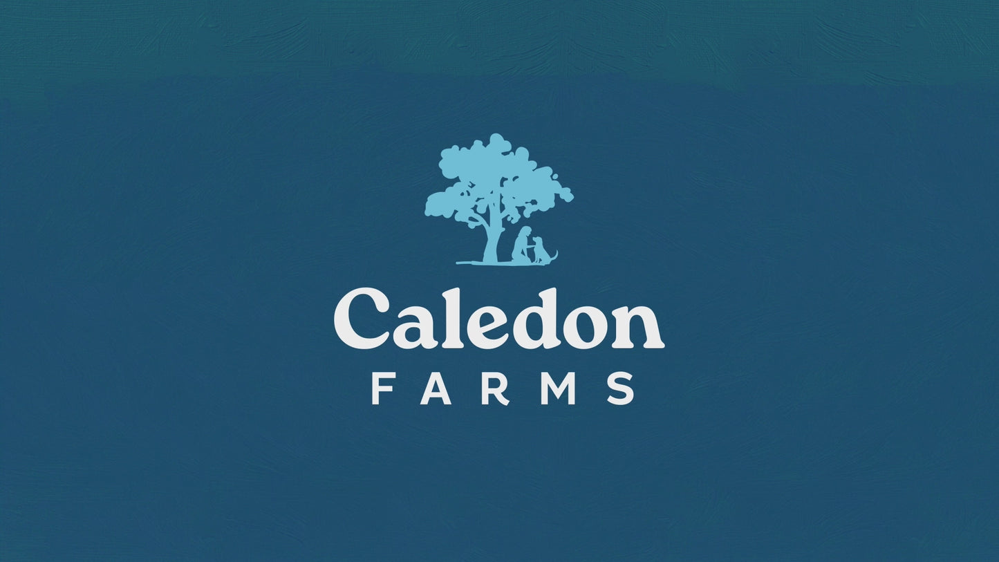 
                        
                          Load and play video in Gallery viewer, Freeze Dried Salmon Bites 90g
                        
                      