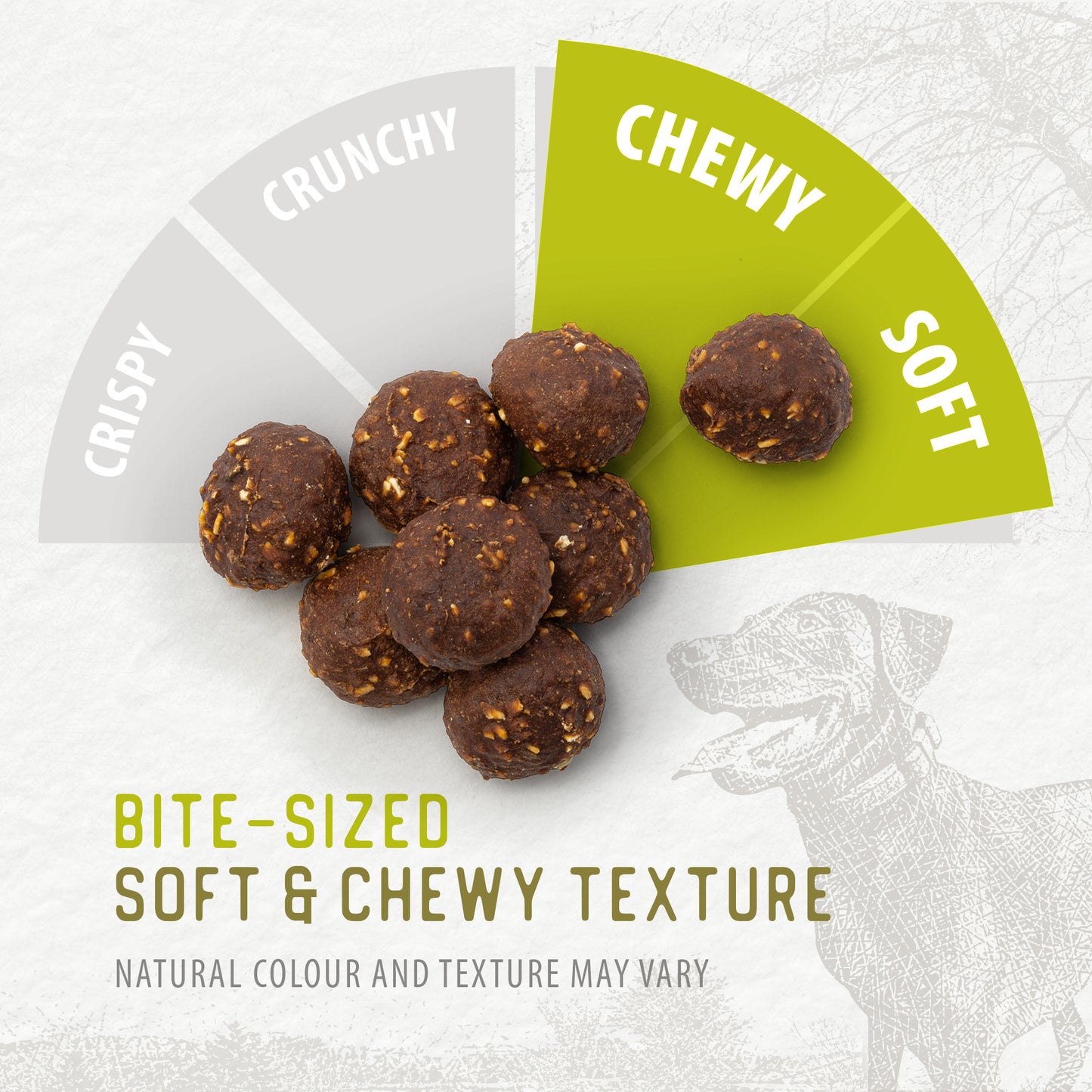 
                        
                          Baked Bites Turkey — Texture
                        
                      