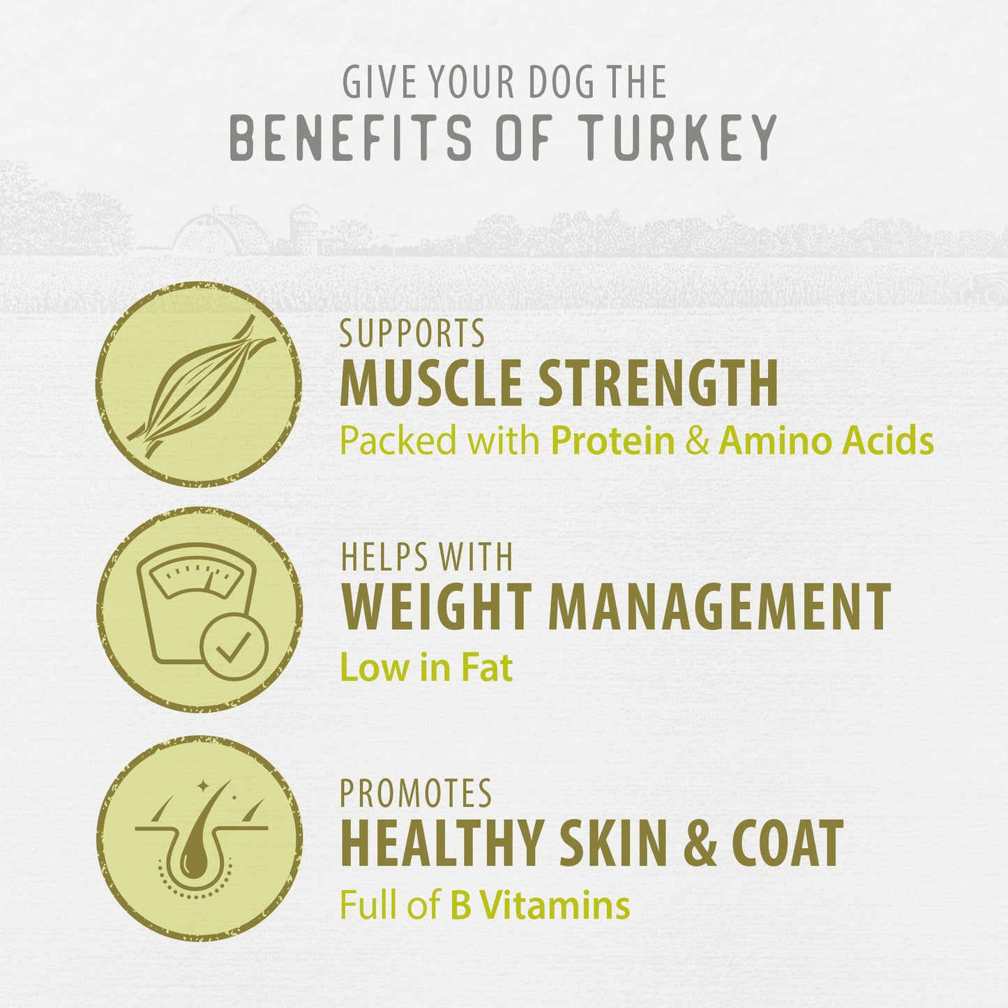
                        
                          Baked Bites Turkey — Key Benefits
                        
                      