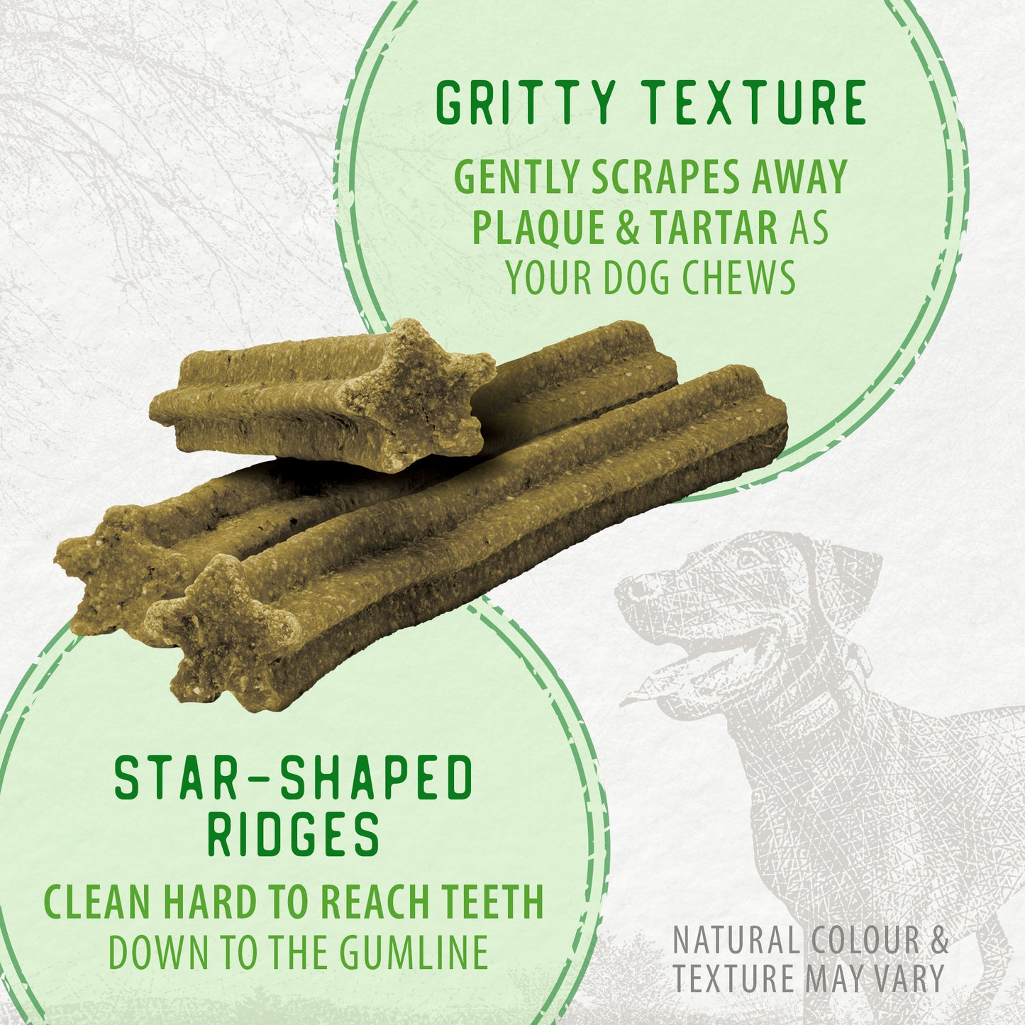 
                        
                          Plaque Busters Fresh - Value Pack — Texture
                        
                      