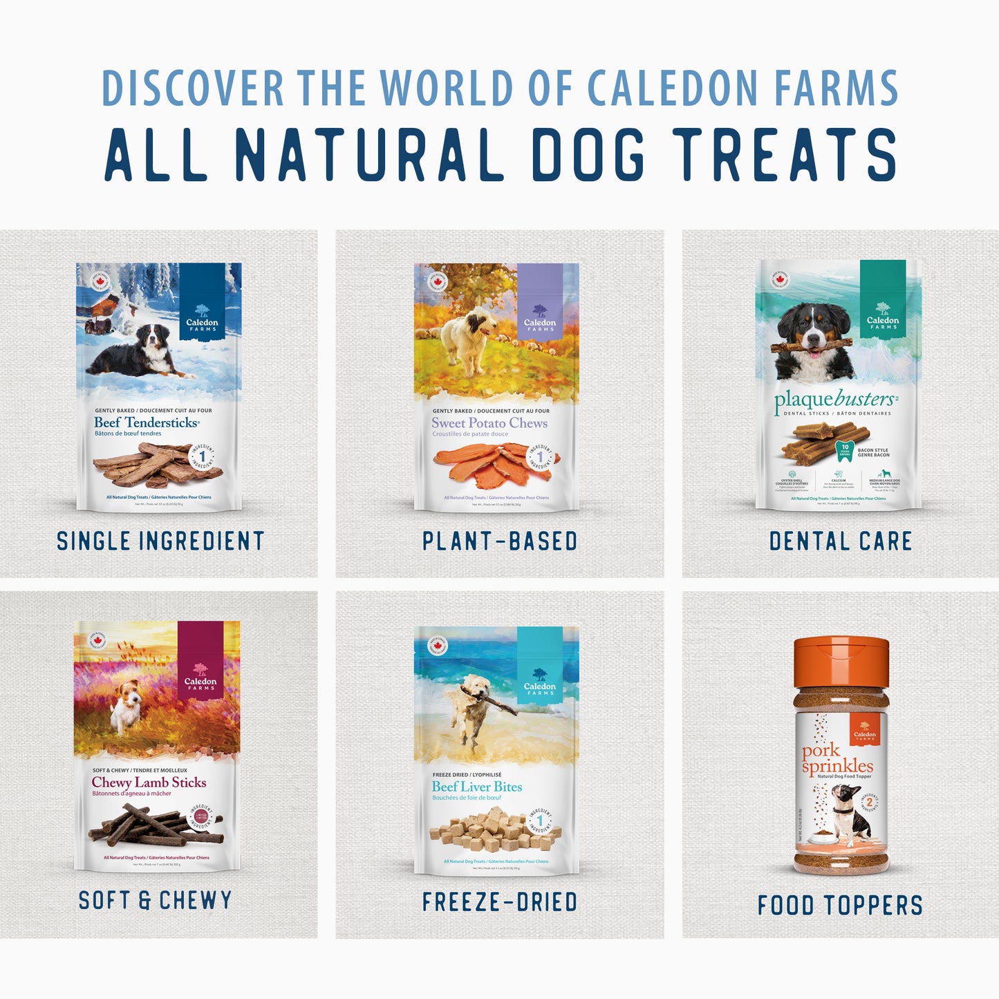 
                        
                          Beef Liver Bites Freeze Dried — Brand Portfolio
                        
                      