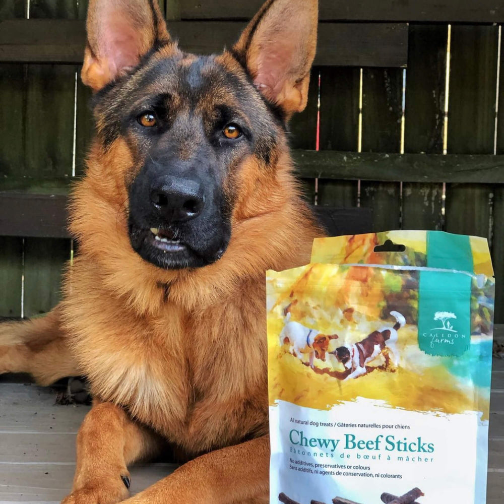 
                        
                          Chewy Beef Sticks 220g
                        
                      