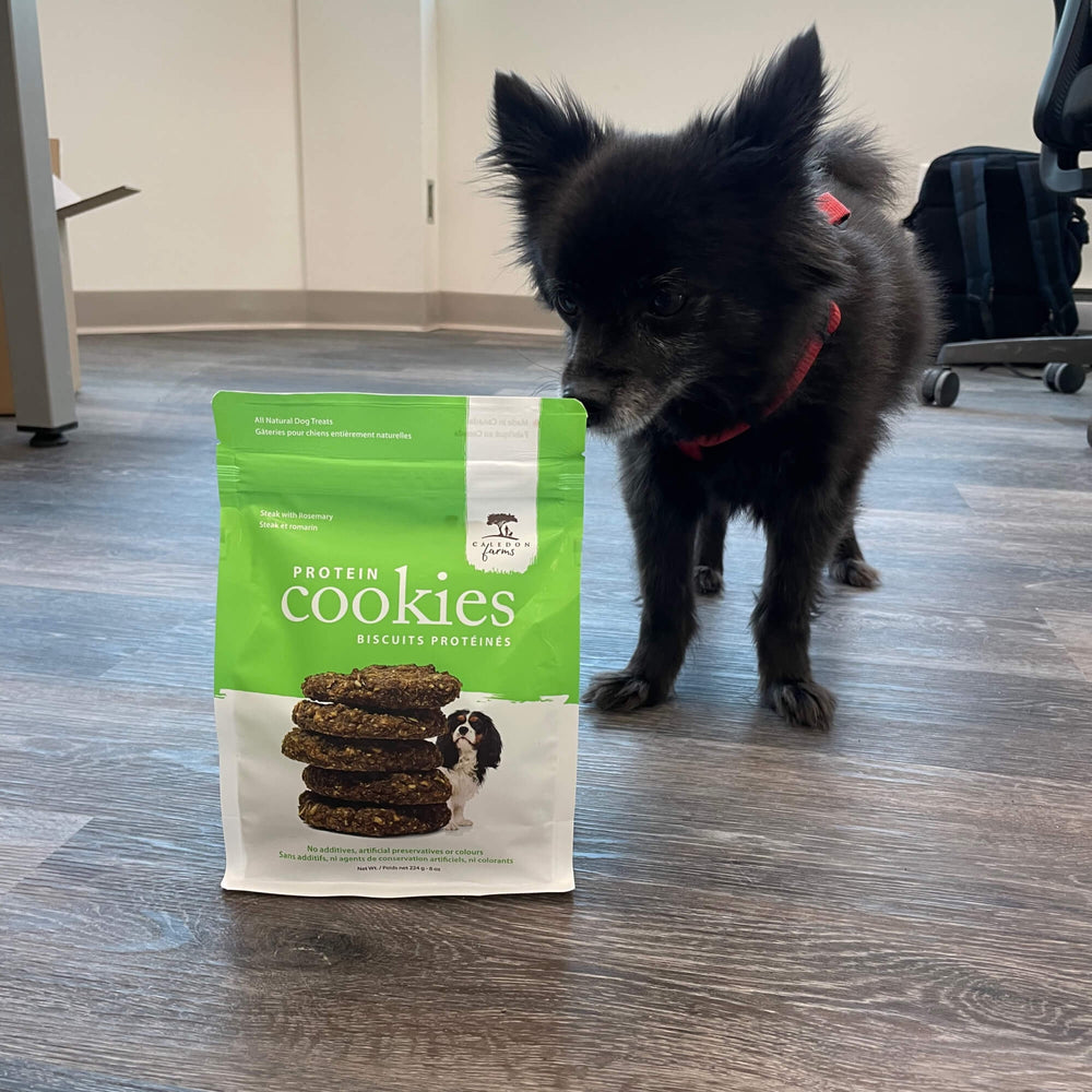 
                        
                          Protein Cookies - Steak and Rosemary 270g
                        
                      