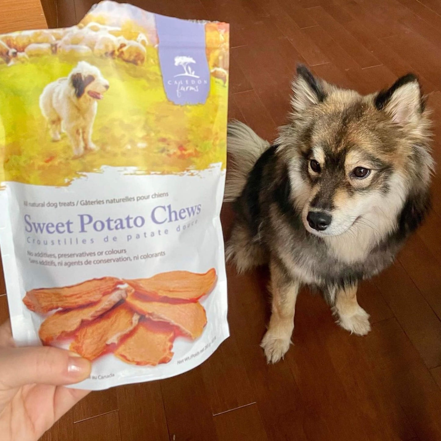 Sweet Potato Chews
